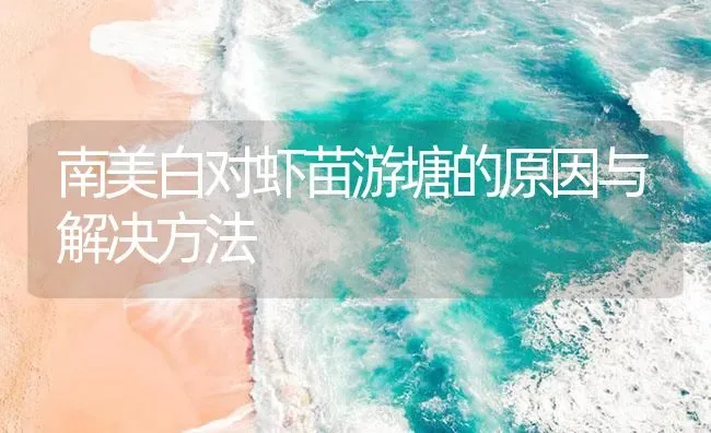 南美白对虾苗游塘的原因与解决方法 | 海水养殖