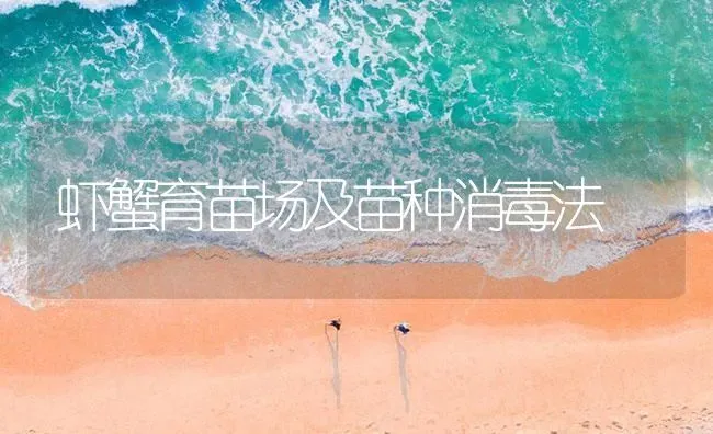 虾蟹育苗场及苗种消毒法 | 淡水养殖