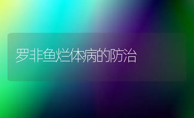 罗非鱼烂体病的防治 | 淡水养殖