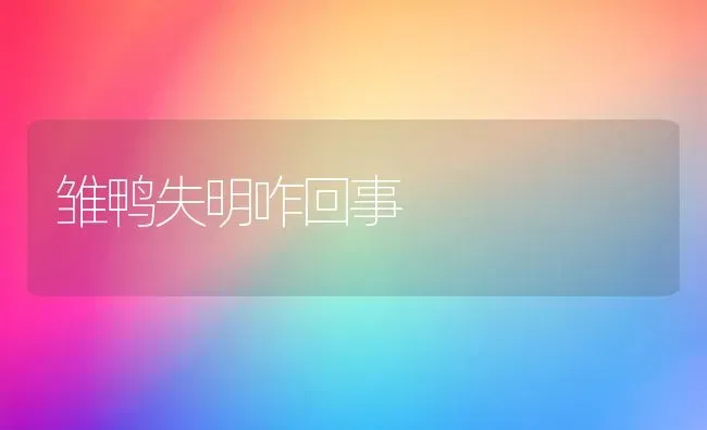 雏鸭失明咋回事 | 家禽养殖