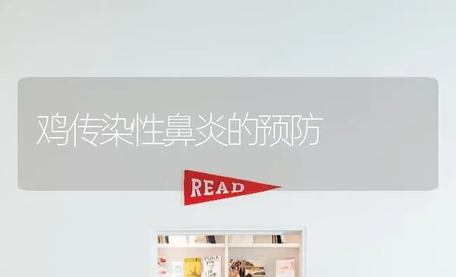 鸡传染性鼻炎的预防 | 家禽养殖