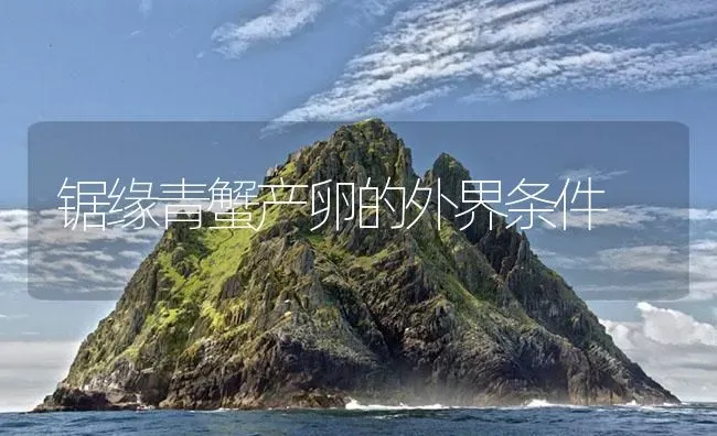 锯缘青蟹产卵的外界条件 | 海水养殖