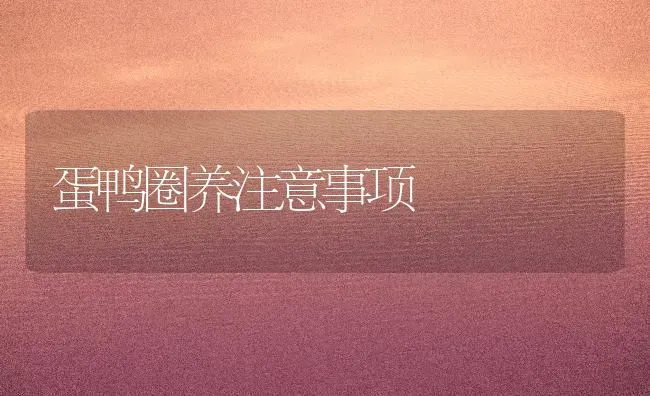 蛋鸭圈养注意事项 | 家禽养殖