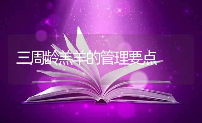 三周龄羔羊的管理要点 | 家畜养殖