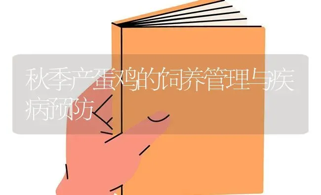 秋季产蛋鸡的饲养管理与疾病预防 | 家禽养殖