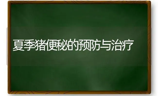 夏季猪便秘的预防与治疗 | 家畜养殖