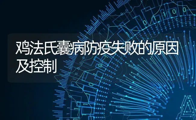 鸡法氏囊病防疫失败的原因及控制 | 家禽养殖