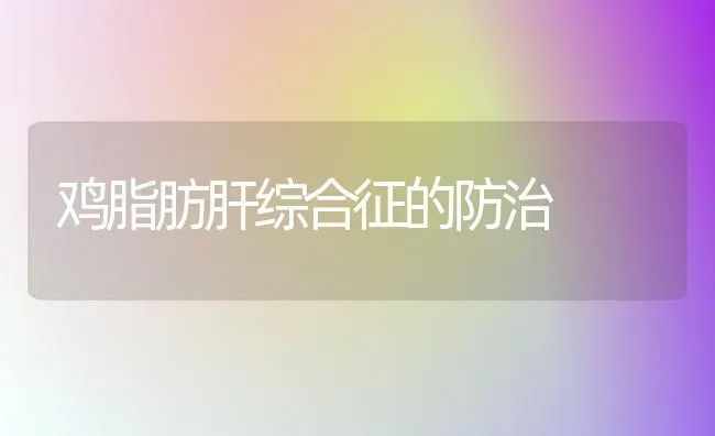 鸡脂肪肝综合征的防治 | 家禽养殖