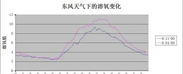 东风天气对南美白对虾慢料现象的分析