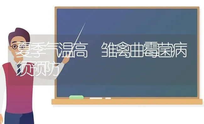 夏季气温高 雏禽曲霉菌病须预防 | 家禽养殖