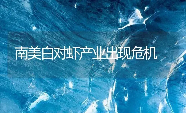 南美白对虾产业出现危机 | 海水养殖