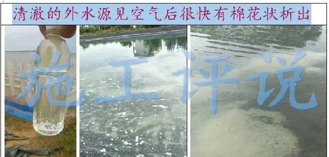 品种没变，环境已大变样！旧的养殖习惯，是否需要与时俱进？