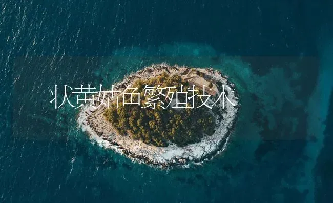鮸状黄姑鱼繁殖技术 | 海水养殖