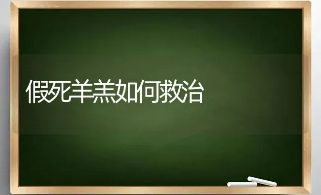 假死羊羔如何救治 | 家畜养殖