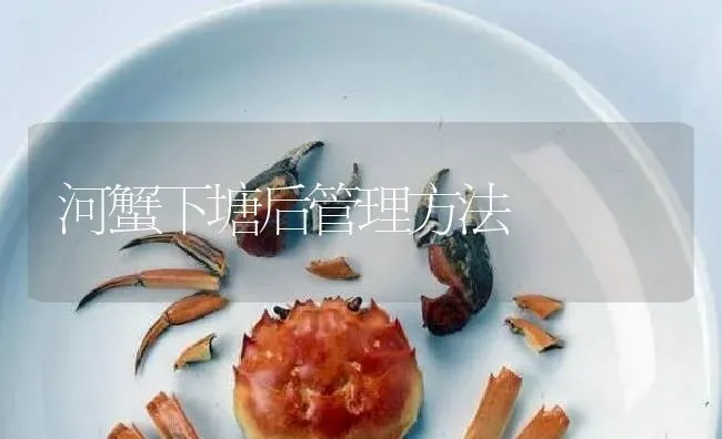 河蟹下塘后管理方法 | 淡水养殖