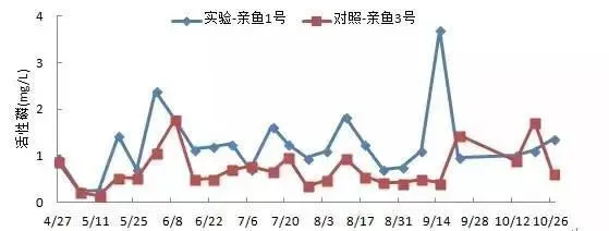 三一养殖工程模式，促进池塘氮磷循环