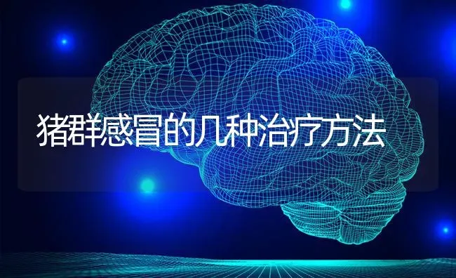 猪群感冒的几种治疗方法 | 家畜养殖