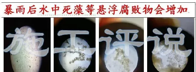 品种没变，环境已大变样！旧的养殖习惯，是否需要与时俱进？