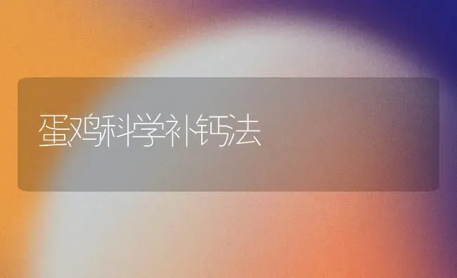 蛋鸡科学补钙法 | 家禽养殖
