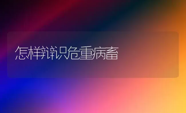 怎样辩识危重病畜 | 家畜养殖