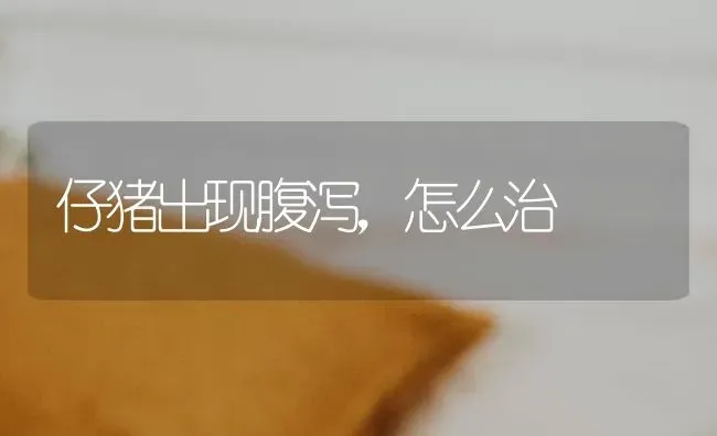 仔猪出现腹泻，怎么治 | 家畜养殖