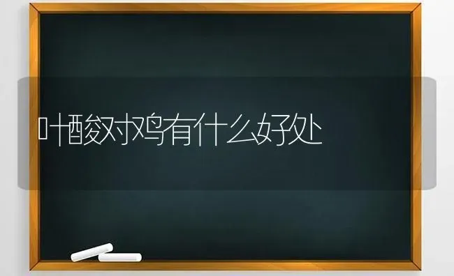 如何防治羊急性瘤胃鼓气 | 家畜养殖