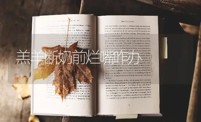 羔羊断奶前烂嘴咋办 | 家畜养殖