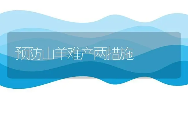 预防山羊难产两措施 | 家畜养殖