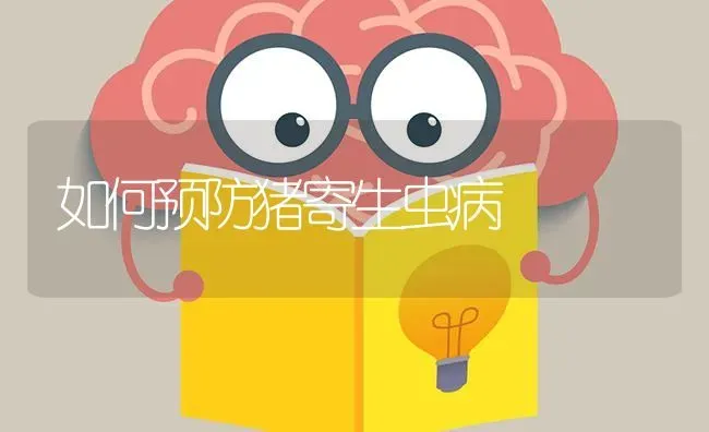 如何预防猪寄生虫病 | 家畜养殖