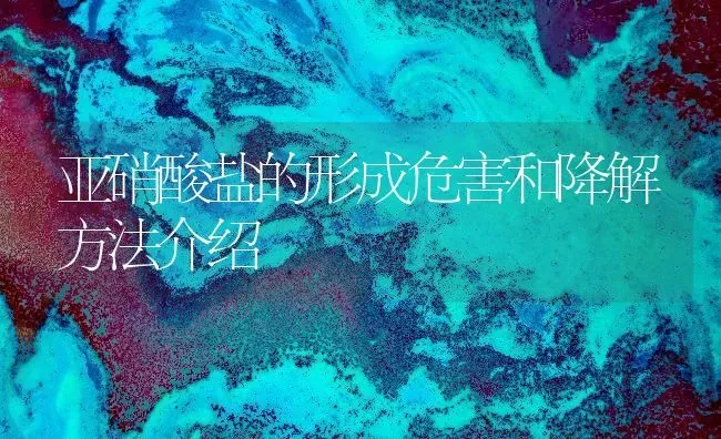 亚硝酸盐的形成危害和降解方法介绍 | 动物养殖百科