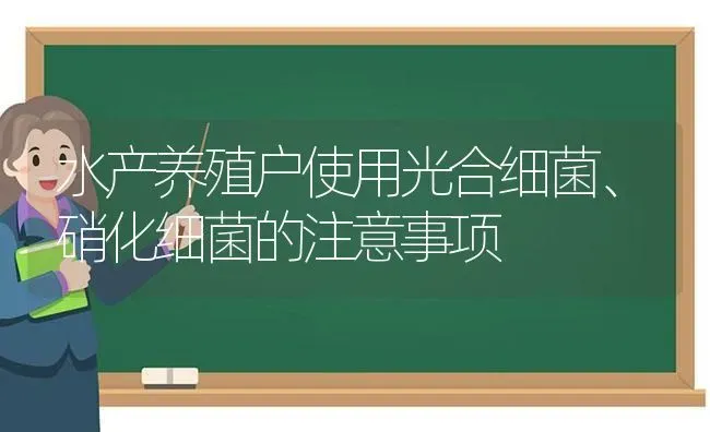 水产养殖户使用光合细菌、硝化细菌的注意事项 | 动物养殖百科