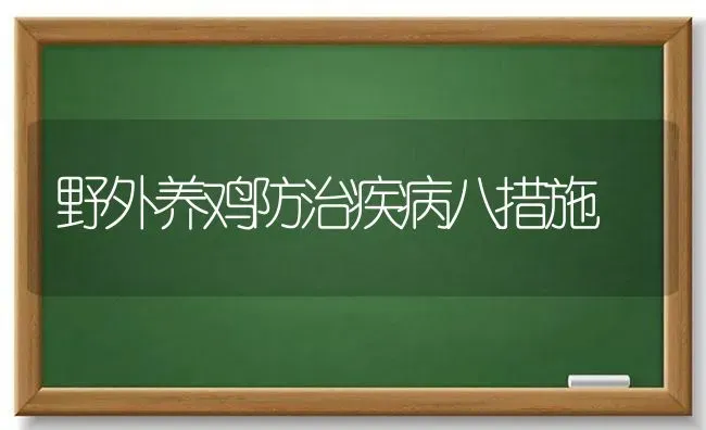 野外养鸡防治疾病八措施 | 家禽养殖