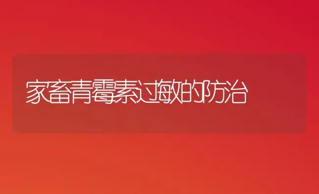 家畜青霉素过敏的防治 | 家畜养殖