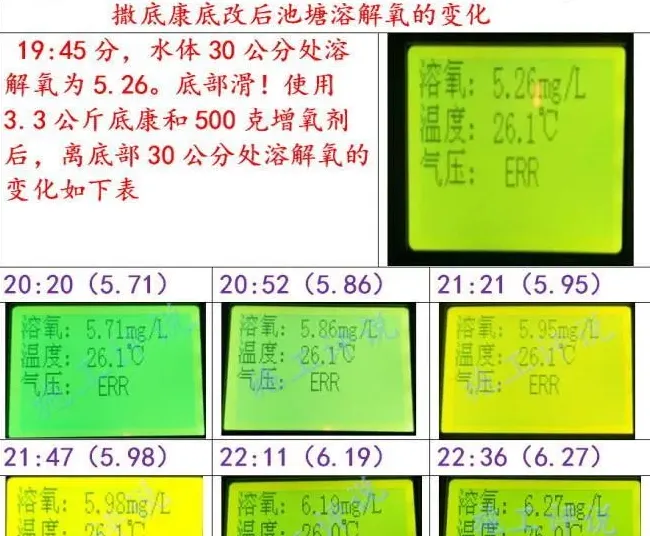 夏季高温季节池塘下风口为什么会看到一些小泡泡，有什么危害？