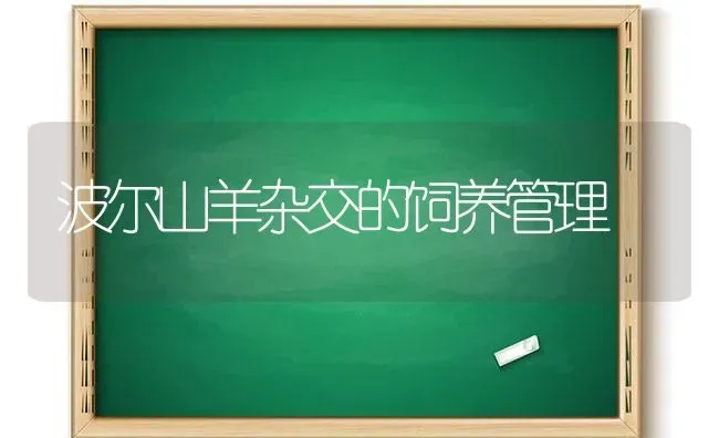 波尔山羊杂交的饲养管理 | 家畜养殖