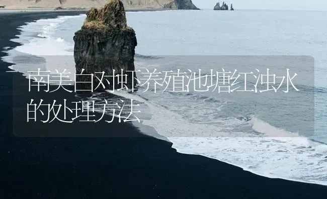 南美白对虾养殖池塘红浊水的处理方法 | 海水养殖