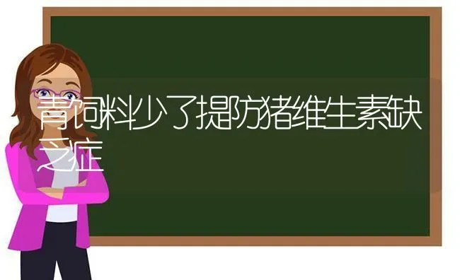 青饲料少了提防猪维生素缺乏症 | 家畜养殖