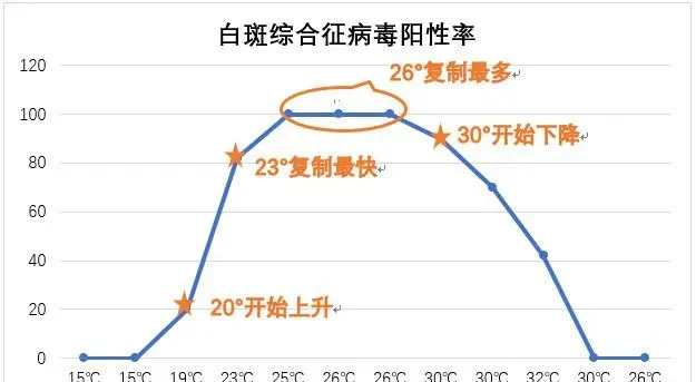 带你全面了解小龙虾五月瘟