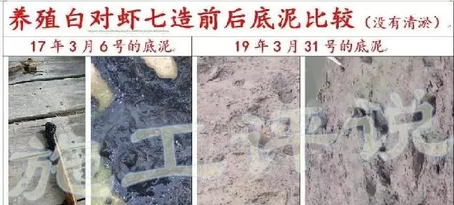 品种没变，环境已大变样！旧的养殖习惯，是否需要与时俱进？