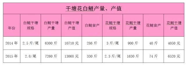 湖北洪湖藻源素增产花白鲢效果发布