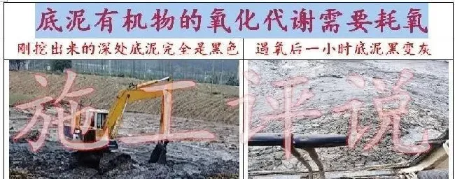 品种没变，环境已大变样！旧的养殖习惯，是否需要与时俱进？
