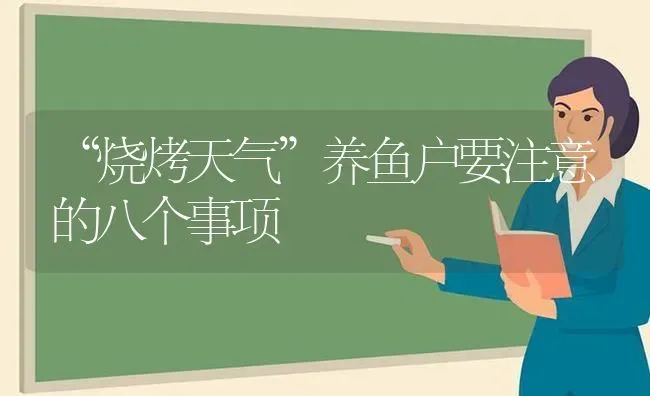 “烧烤天气”养鱼户要注意的八个事项 | 动物养殖百科