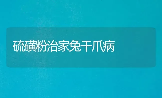 硫磺粉治家兔干爪病 | 家畜养殖