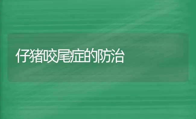 仔猪咬尾症的防治 | 家畜养殖