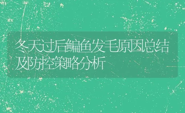 冬天过后鳊鱼发毛原因总结及防控策略分析 | 淡水养殖