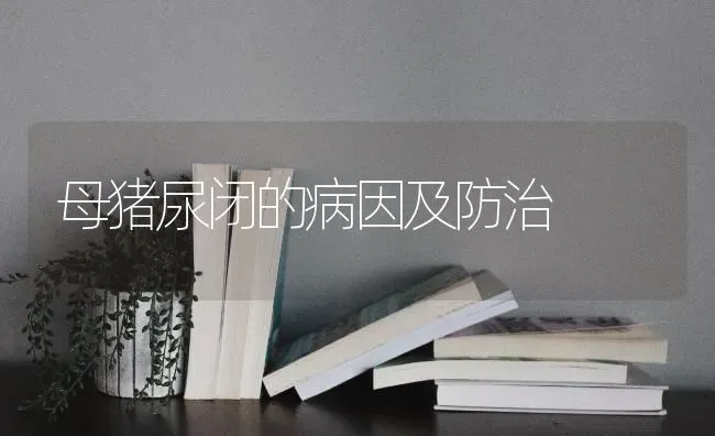 母猪尿闭的病因及防治 | 家畜养殖