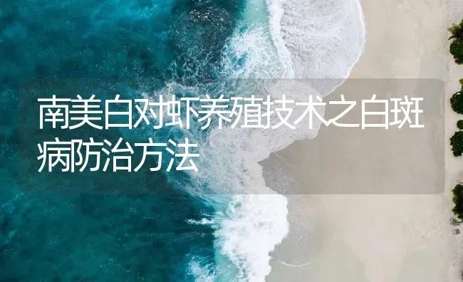 南美白对虾养殖技术之白斑病防治方法 | 海水养殖