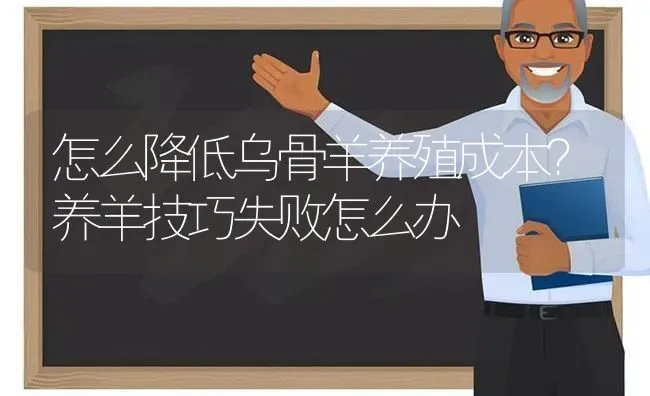 怎么降低乌骨羊养殖成本？养羊技巧失败怎么办 | 家畜养殖