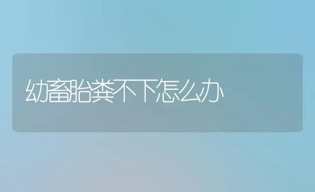 幼畜胎粪不下怎么办 | 家畜养殖