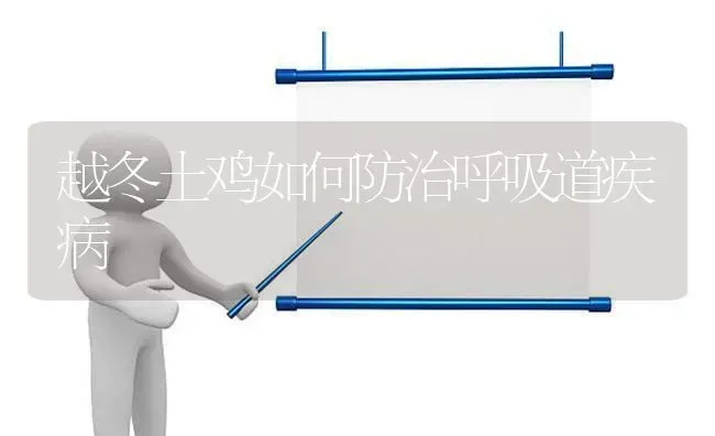 越冬土鸡如何防治呼吸道疾病 | 家禽养殖